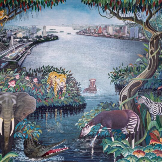 BRAZZA-KIN, LES RICHESSES